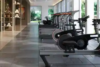 Gymnasium